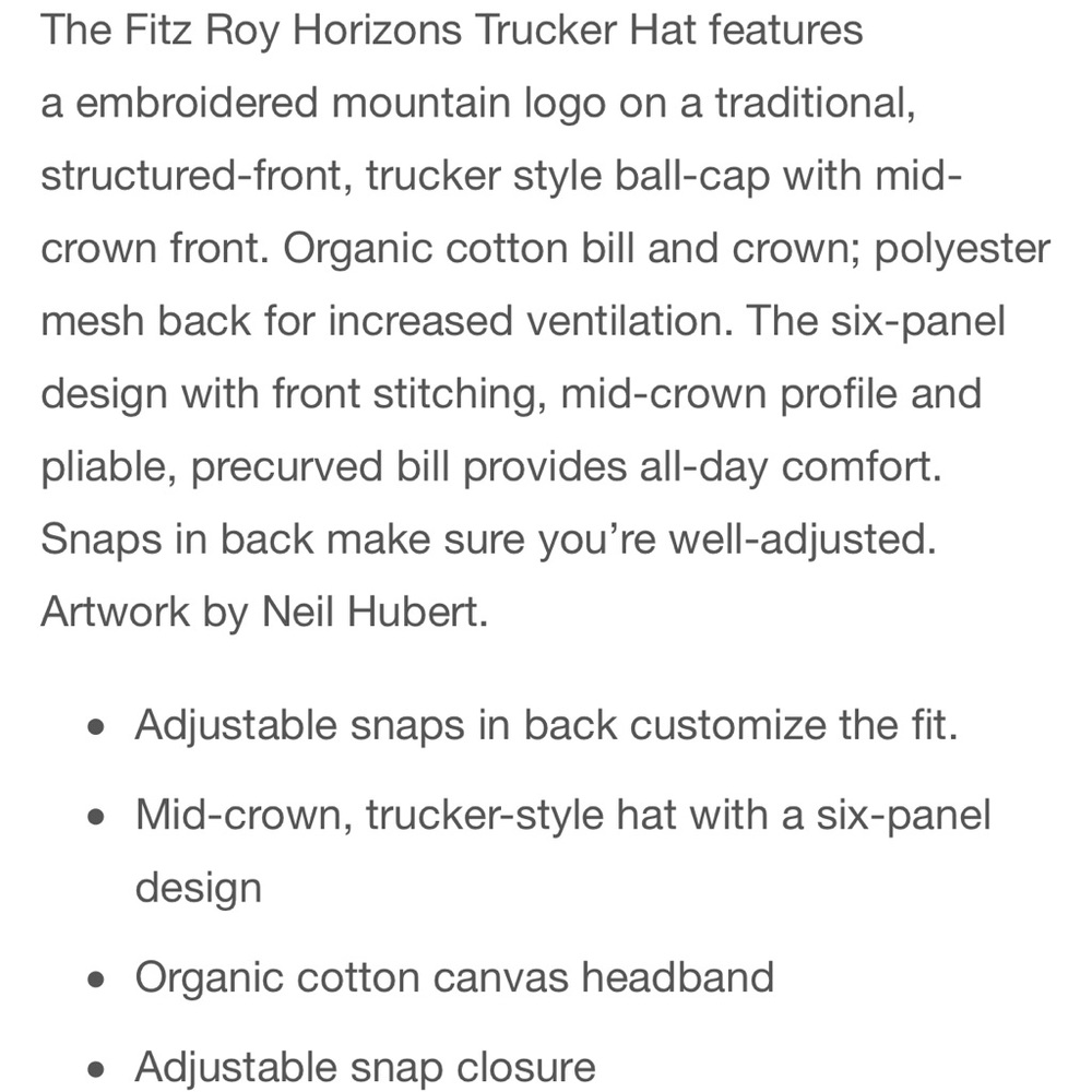 Patagonia Fitz Roy Horizons Blue Trucker Hat - Picture 6 of 8
